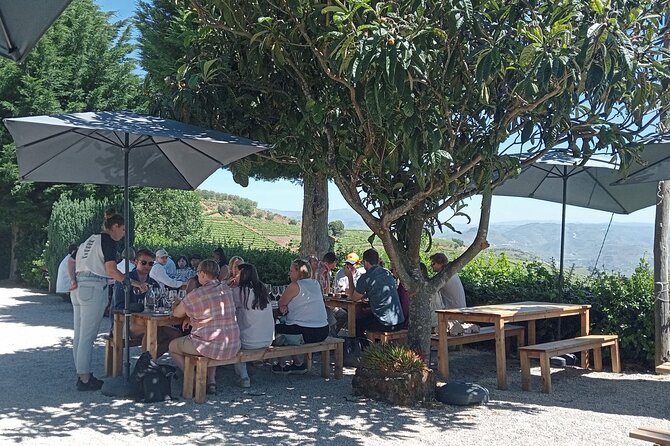 Douro Tour with Wine Tasting, River Cruise and Visit to Lamego - Alcohol, ages, and how to plan your taste buds