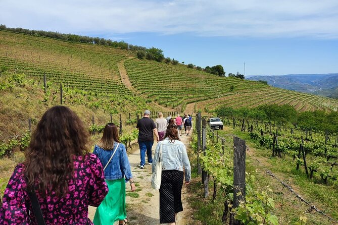 Douro Tour with Wine Tasting, River Cruise and Visit to Lamego - Where the day starts in Porto: Igreja da Lapa