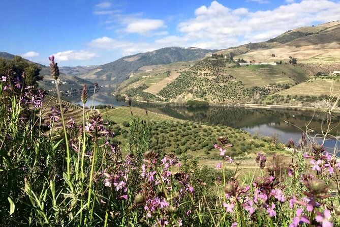 Douro Valley and Régua Panoramic Cruise with Lunch from Porto - The On-Board Lunch: Included Food, Included Drinks, Mixed Quality
