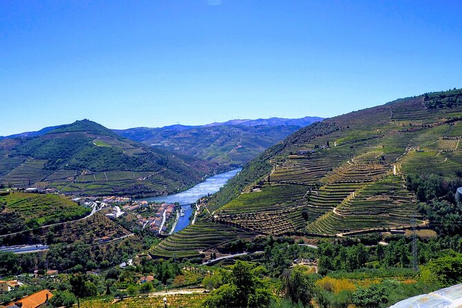 Douro Valley and Régua Panoramic Cruise with Lunch from Porto - Inside vs Outside: How to Actually Enjoy a Panoramic Cruise