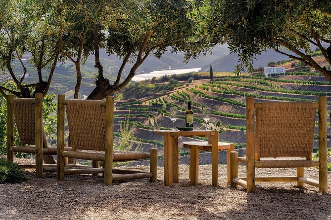 Douro Valley Best-Of Private Tour – Fully Customizable Experience - Provesende Wine Lunch: Where the Pairing Is the Whole Point