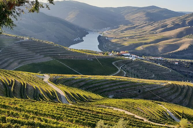 Douro Valley Best-Of Private Tour – Fully Customizable Experience - Sabrosa Chill and Wine: The Soft Landing at the End