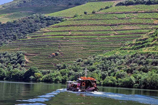 Douro Valley-Expert Guide-Boat-Lunch-Tastings-Offer wine bottle - Key highlights at a glance
