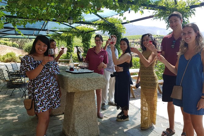 Douro Valley for Wine Lovers with Visit to 4 Wineries and Lunch - Key highlights that matter