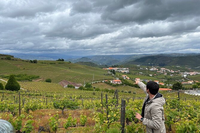 Douro Valley for Wine Lovers with Visit to 4 Wineries and Lunch - Guides with real names: Sara, Andre, Hernan, Joao, Jorge, Steve