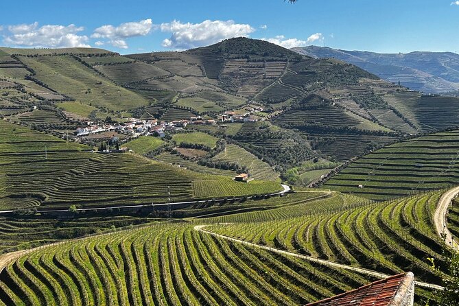 Douro Valley Half-Day Tour with Winery and Lunch From Porto - Key highlights you will feel on this tour