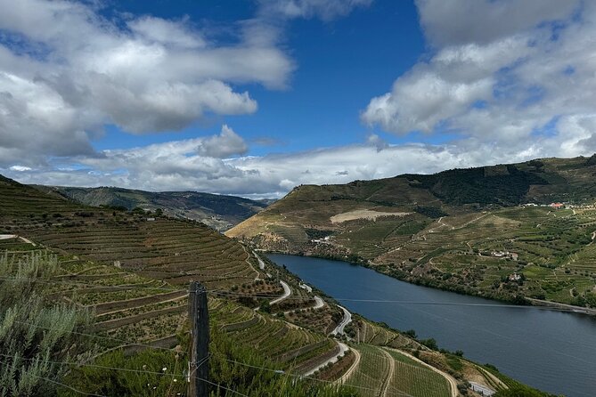 Douro Valley Half-Day Tour with Winery and Lunch From Porto - Meeting point, van comfort, and how the small group changes everything