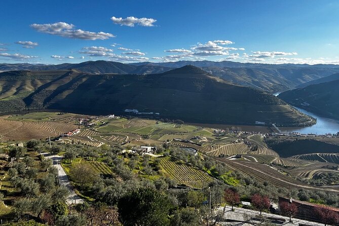 Douro Valley Half-Day Tour with Winery and Lunch From Porto - Price and value: is $126.38 per person a fair deal?