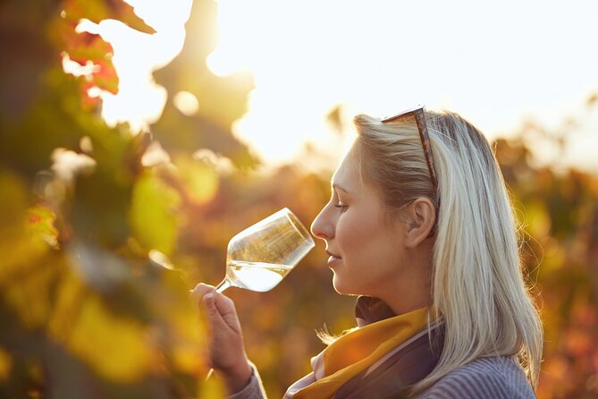 Douro Valley: Historical Sites, Wine Experience, Lunch & Cruise - Pinhão Vineyard Estate Walk and Wine Tasting of 3 Wines