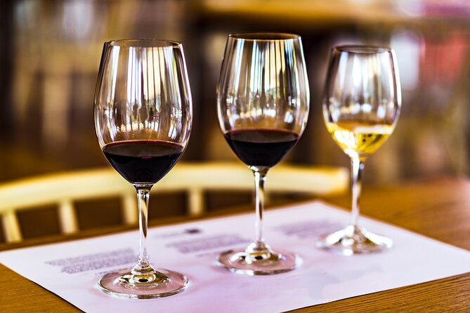 Douro Valley: Historical Sites, Wine Experience, Lunch & Cruise - Small Group Comfort, Long Day Reality