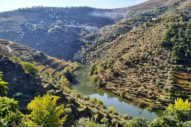 Douro Valley Prime Tour: Wine Tastings, Boat & Lunch from Porto - The morning drive out of Porto, Vinho Verde, and Amarante views