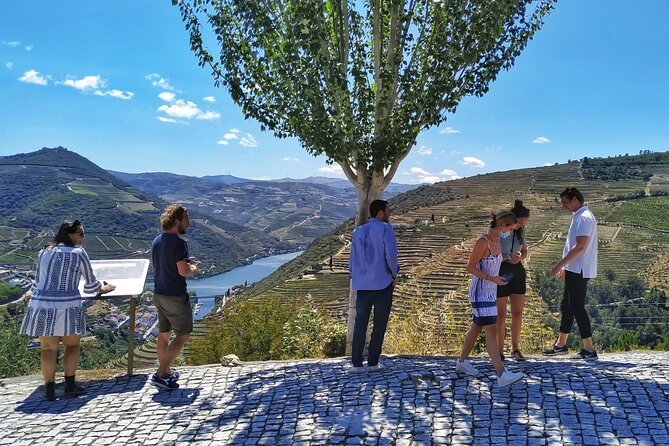 Douro Valley Prime Tour: Wine Tastings, Boat & Lunch from Porto - Quinta do Panascal: granite tanks, Port tastings, and working producer energy