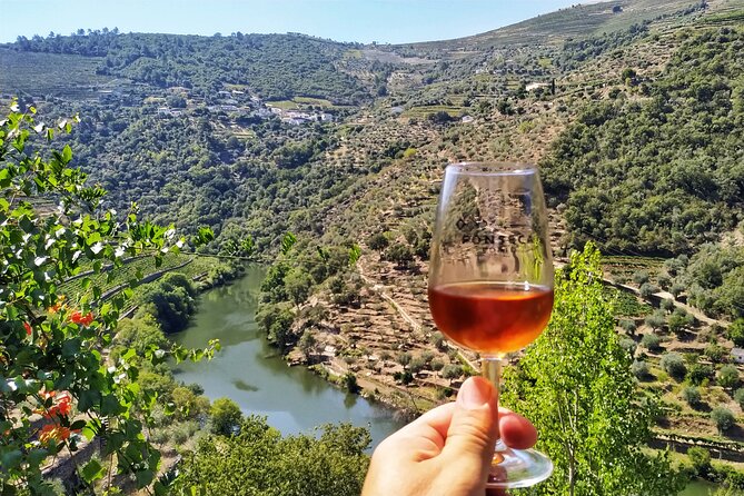 Douro Valley Prime Tour: Wine Tastings, Boat & Lunch from Porto - The one-hour Douro river cruise on a small boat