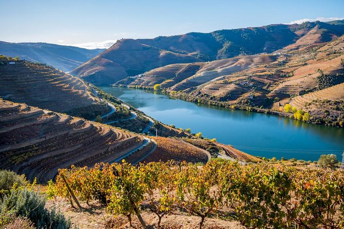 Douro Valley: private tour with lunch and wine estate all inclusive - A UNESCO day trip that still feels personal