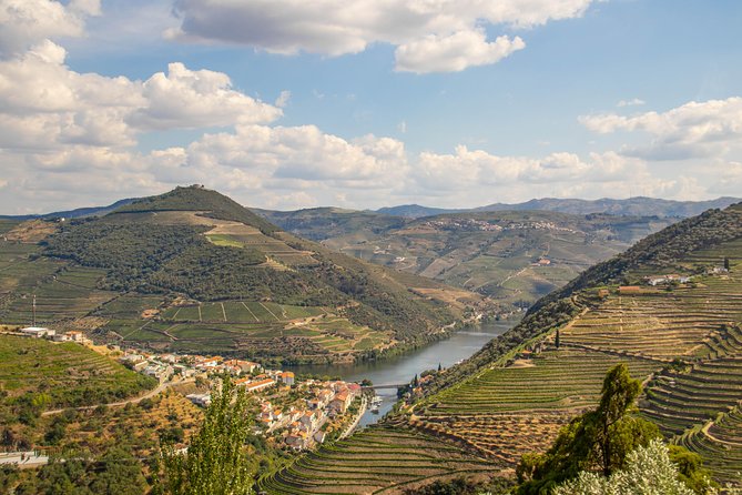 Douro Valley: private tour with lunch and wine estate all inclusive - Lunch in the Douro: Portuguese comfort plus included drinks