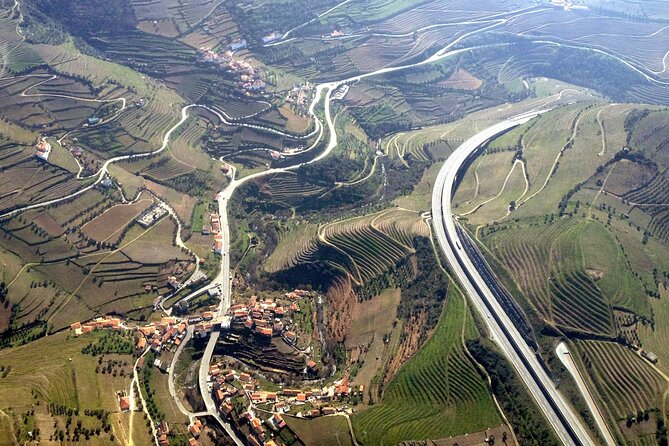 Douro Valley private wine tour | tastings and lunch included - Key Things That Make This Tour Worth Your Time