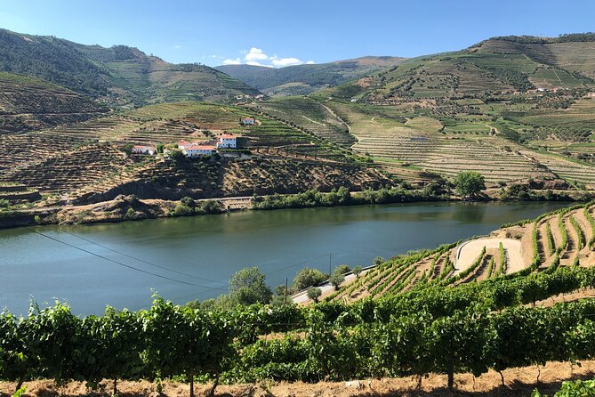 Douro Valley private wine tour | tastings and lunch included - Pinhão Railway Station: Tiles, Texture, and a Photo Break That Feels Local