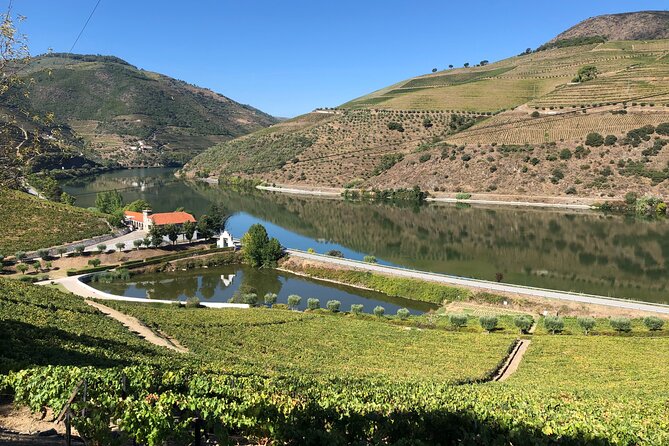 Douro Valley private wine tour | tastings and lunch included - Lunch with Wine at Quinta da Pacheca: Where the Day Calms Down