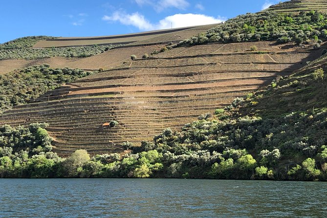Douro Valley private wine tour | tastings and lunch included - Douro River Cruise from Pinhão: The Best “Views” Moment Without the Hiking