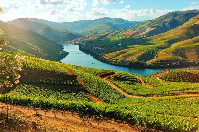 Douro Valley - Relaxed Departure from Porto - Key Highlights to Know Before You Go
