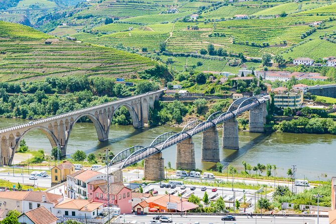 Douro Valley - Relaxed Departure from Porto - Santa Marta de Penaguião: Port Tasting Stop With a Wine-Lover’s Focus