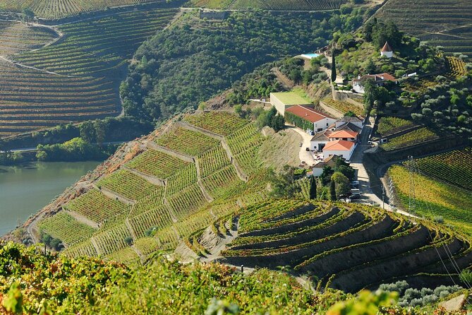 Douro Valley - Relaxed Departure from Porto - Quinta de São Luís: One More Estate Stop, One More Layer