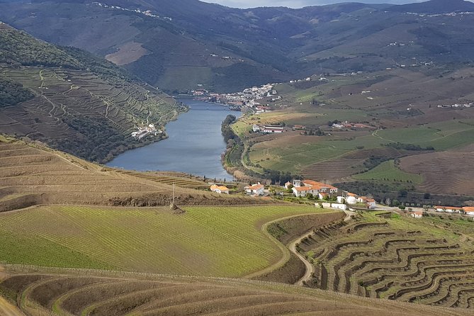 Douro Valley Tour: 2 Vineyard Visits, River Cruise, Winery Lunch - Why this Douro Valley day trip feels like good value from Porto