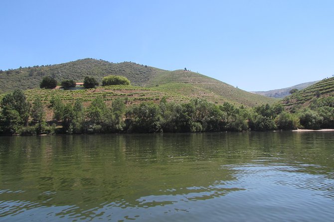 Douro Valley Tour: 2 Vineyard Visits, River Cruise, Winery Lunch - The morning flow: Igreja da Lapa meeting point, start time, and breakfast