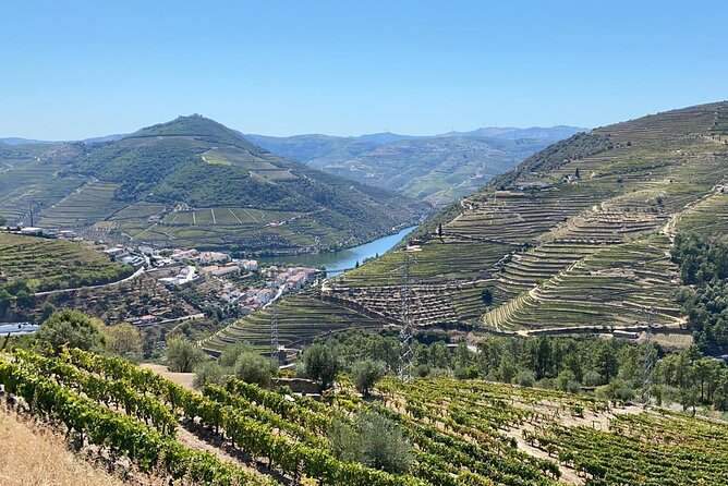 Douro Valley Tour - 3 Wine tastings, Lunch & river Cruise - Sabrosa lunch at a Vintage House, plus cellar time and Magellan connections
