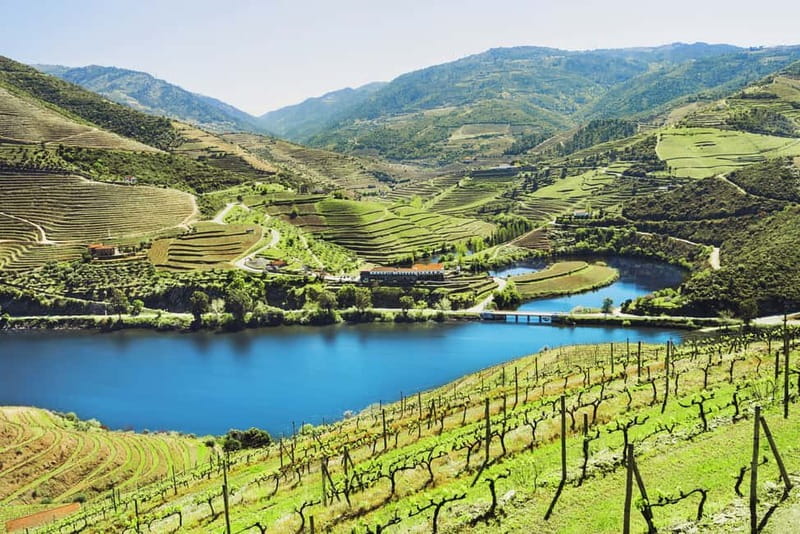 Douro Valley Tour: Visit 2 Wineries, Lunch & River Cruise - Key highlights you should clock before you go