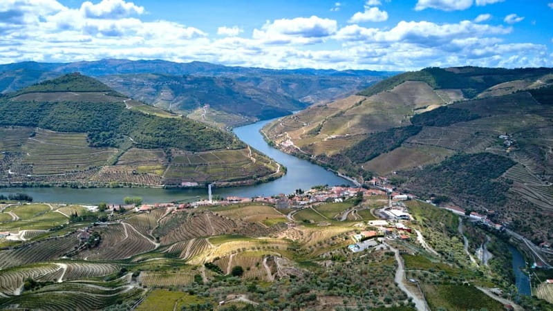 Douro Valley Tour: Visit 2 Wineries, Lunch & River Cruise - Two winery stops: tasting DOC Douro and Port with context