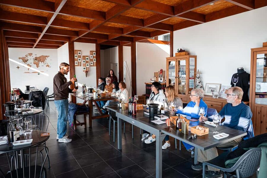 Douro Valley Tour: Visit 2 Wineries, Lunch & River Cruise - Getting back to Porto, plus what to pack for real conditions