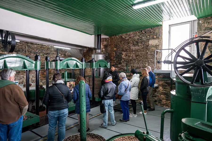 Douro Valley Tour: Visit 2 Wineries, Lunch & River Cruise - Price and value: is $116 a fair deal for a full Douro day?