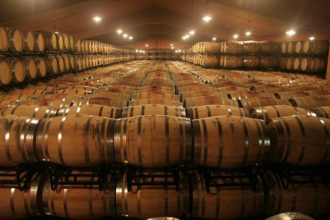 Douro Valley Tour: Wine Tasting, Cruise and Lunch from Porto - The Porto Start Point, and How the Coach Time Sets Expectations
