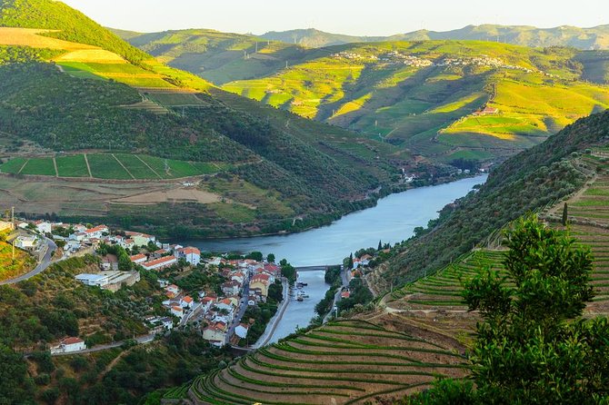 Douro Valley Tour: Wine Tasting, Cruise and Lunch from Porto - The 1-Hour Douro River Cruise: The Scenic Payoff