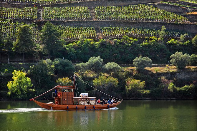 Douro Valley Tour: Wine Tasting, Cruise and Lunch from Porto - Viewpoints on the Return to Porto: Stretch Your Legs, Take Your Time