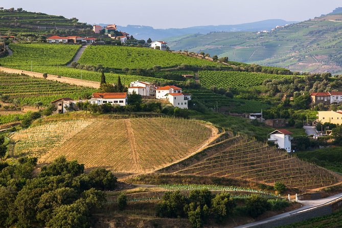 Douro Valley Tour: Wine Tasting, Cruise and Lunch from Porto - The Guide Team Makes or Breaks the Mood