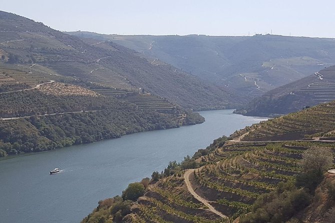 Douro Valley Tour: Wine Tasting River Cruise and Lunch from Porto - Porto pickup at Largo Actor Dias, plus what to expect from the morning