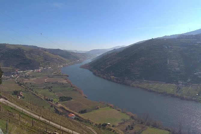 Douro Valley Tour: Wine Tasting River Cruise and Lunch from Porto - Pinhão quick hit: Golden River views without the time sink