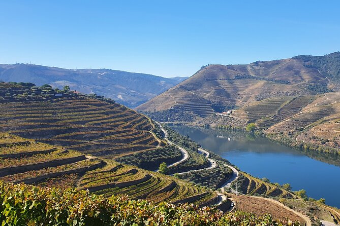 Douro Valley Tour: Wine Tasting River Cruise and Lunch from Porto - Logistics you should plan for so the day stays fun