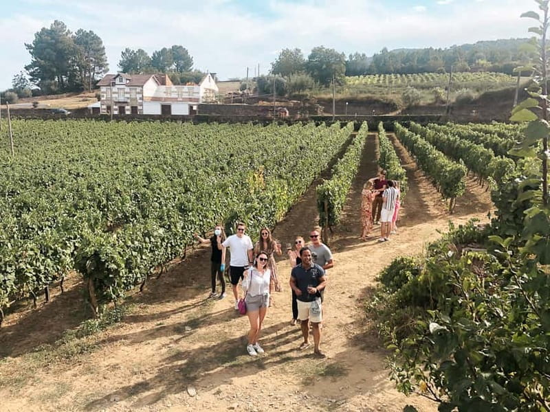 Douro Valley: Tour with Wine Tastings, Lunch, and Boat Ride - Why the 8-Seat Douro Format Feels Less Like a Production
