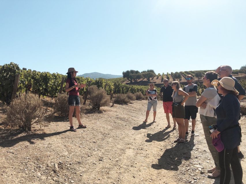 Douro Valley: Tour with Wine Tastings, Lunch, and Boat Ride - Pinhão Boat Cruise: Your Calm Hour on the Douro River