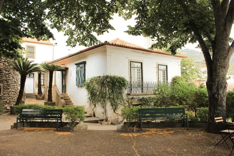 Douro Valley: Tour with Wine Tastings, Lunch, and Boat Ride - Lunch at a Typical Portuguese Restaurant, With Real Choices