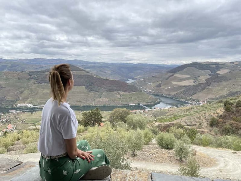 Douro Valley: Tour with Wine Tastings, Lunch, and Boat Ride - Winery Stop #2: Table Wine, Then Olive Oil and Honey