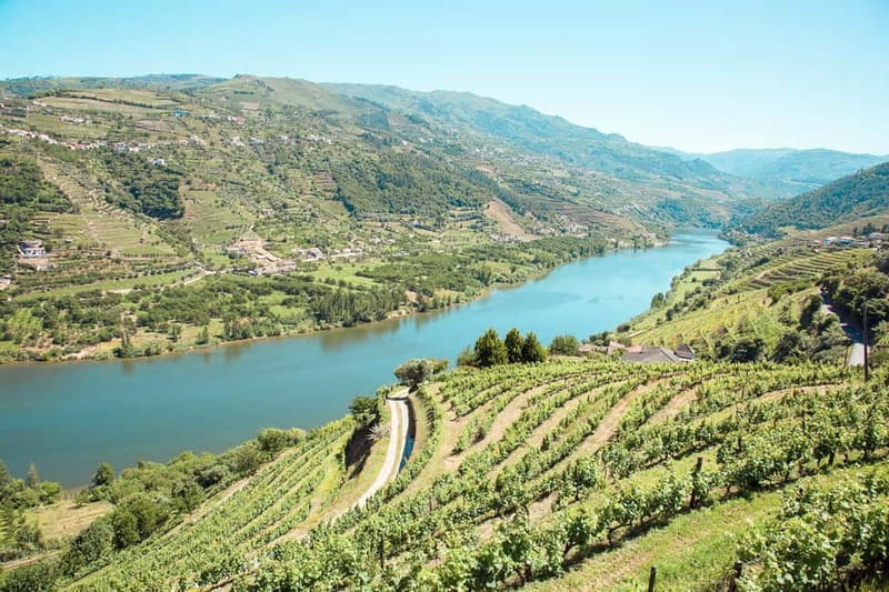 Douro Valley: Tour with Wine Tastings, Lunch, and Boat Ride - Porto Pickup to Douro Valley Views, The Ride That Sets Expectations
