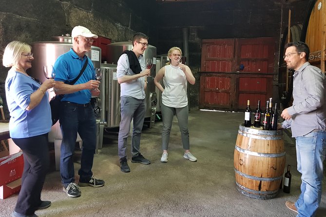 Douro Valley Wine Tour: 3 Vineyard Visits, Wine Tastings, Lunch - Stop 3 in Sabrosa: cellar finale with Port tastings