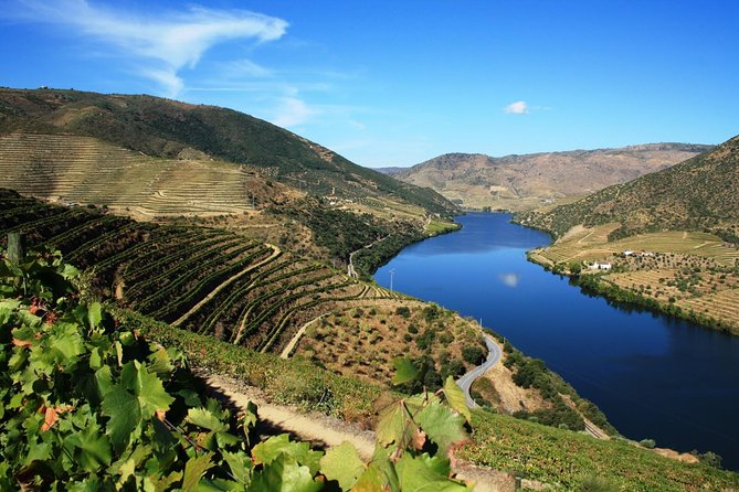 Douro Valley Wine Tour: 3 Vineyard Visits, Wine Tastings, Lunch - Getting to the Douro in a comfortable ride