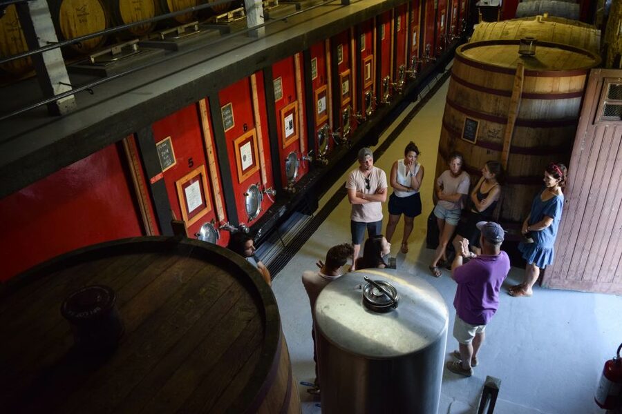 Douro Valley: Winery Tour at Quinta do Tedo and Tastings - Quinta do Tedo, perched above the Douro and Tedo confluence