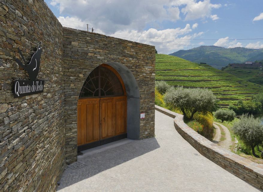 Douro Valley: Winery Tour at Quinta do Tedo and Tastings - Porto and red wine production, explained step by step