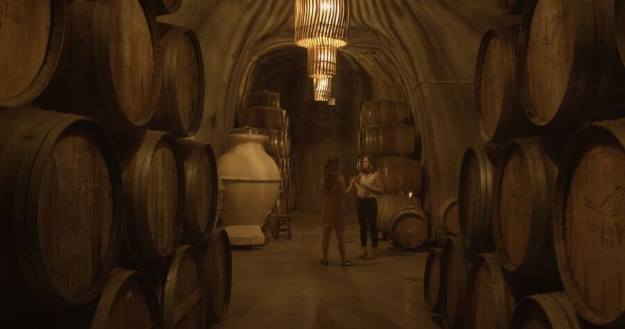 Douro Valley: Winery Tour at Quinta do Tedo and Tastings - The tasting: Porto and red wines with a river-view setting